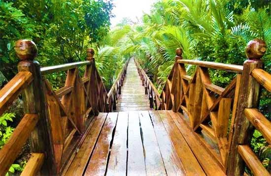 Dhani Nallah Mangrove Walkway